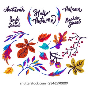 Lettering with a collection of autumn exotic leaves. Ethnic floral pattern, border, wreath. Poser with the inscription back to school, hello autumn. Banner with foliage of maple, chestnut, linden, asp