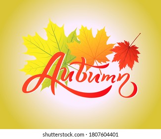 
Lettering composition Autumn and Maple Leaves. Vector Illustration in Flat style