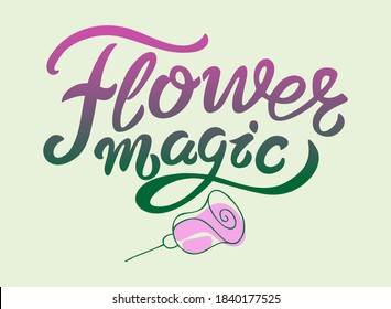 
Buchstabierkomposition Blumenmagie und Rose, aus Buchstaben mit Farbübergang Gradient Fill Green-Rosa, Blume in Grün- und Rosa-Tönen, auf hellgrünem Hintergrund, Vektorgrafik