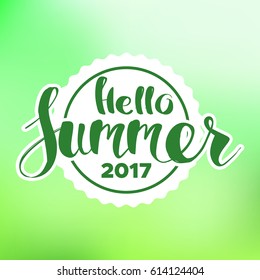 lettering composition of Summer Vacation isolated on blur background.