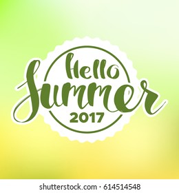 lettering composition of Summer Vacation isolated on blur background.