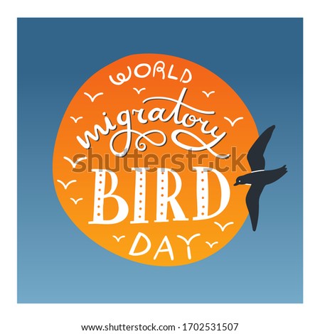 Lettering composition - Worls Migratory bird day. Hand drawn words with decoration in circle. Sun and sky on background and flying dird nearby. May.