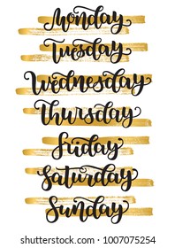 Lettering Days of Week Sunday, Monday, Tuesday, Wednesday, Thursday, Friday, Saturday. Modern Calligraphy Isolated on White with golden bands. Vector illustration. Brush handlettering for schedule