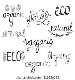 Lettering design elements. Organic, bio, ecology, eco, natural design templates. Hand drawn  text made in vector.
