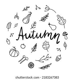 lettering drawn by hand with autumn elements. Vector