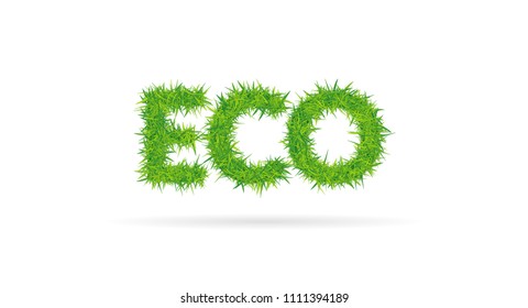 Lettering eco consisting of grass on white background.