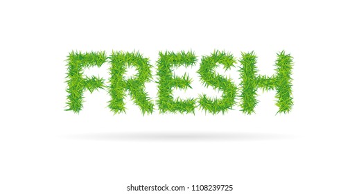 Lettering fresh consisting of grass on white background.