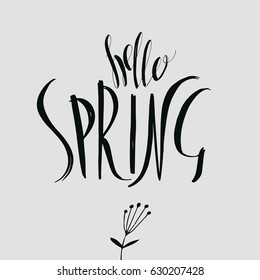 Lettering "Hello Spring." Hand writing. Calligraphic type. Light background