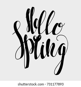 Lettering "Hello Spring." Hand writing. Calligraphic type.