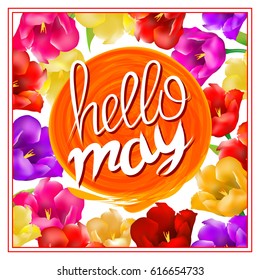 lettering hellow may. sun orange. background with colorful flowers tulip isolated on white background. Vector EPS10. art