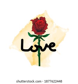 Lettering love with rose flower design isolated on white background