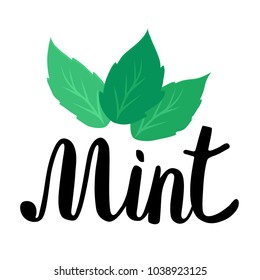 Lettering mint. Handwritten inscription with green mint leaves. Illustration on white background.
