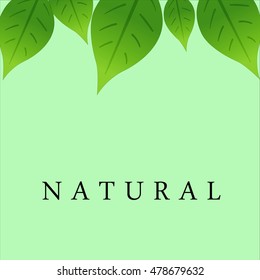 lettering nature and green leaves above reflect ecology emblem on light green background vector.