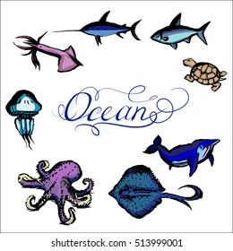 lettering ocean vector