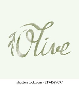 Lettering olive hand drawn isolated on background