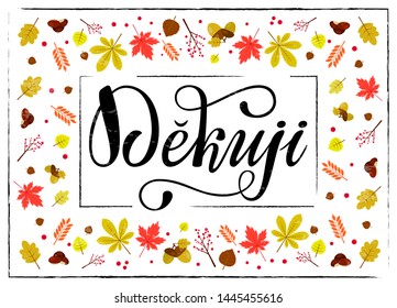 Lettering on Czech language, phrase translate Thank You. Vector hand draw lettering design for postcard, greeting card, tag or banner. Dekuji with autumn frame.