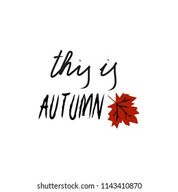 Lettering on fall, a card, a vector illustration