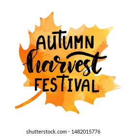 Lettering phrase Autumn Harvest Festival with maple leaf drawing. Modern brush calligraphy. Handwritten vector illustration isolated on white background for cards, posters, banners, logo, tags.