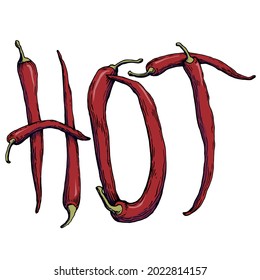 Lettering from red hot chili peppers isolated on white background, healthy turkish spice. Logo. Hand drawn  color illustration of a hot chili. Handwritten graphic technique. 