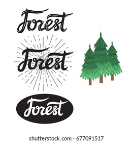 Lettering sign Forest black. Vector illustration isolated on white background.