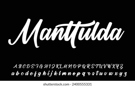 Lettering signature font isolated on grey background. brus style alphabet. Vector logo letters.