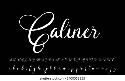 Lettering signature font isolated on grey background. brus style alphabet. Vector logo letters.