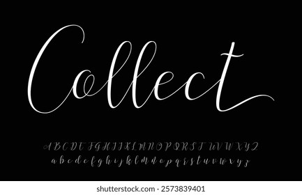 Lettering signature font isolated on grey background. brus style alphabet. Vector logo letters.