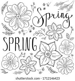 Leyendo el muelle escrito a mano y conjunto de flores de primavera, hojas, ramitas sobre fondo blanco. Ilustración vectorial en blanco y negro