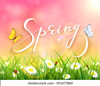 Lettering Spring with pink sunny natural background, butterflies flying above the grass with ladybugs and flowers, illustration.