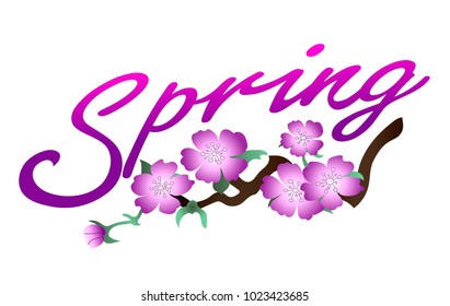Lettering spring, sakura flowers.