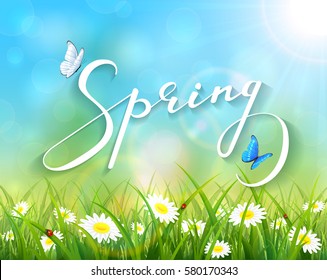 Lettering Spring with sunny natural background, butterflies flying above the grass with ladybugs and flowers, illustration.