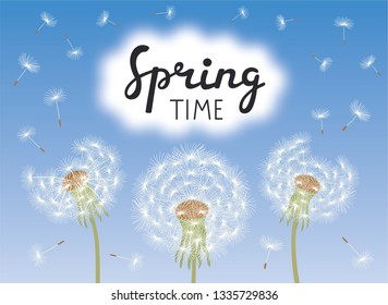 Lettering Spring Time. Dandelions with flying seeds on blue sky.