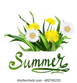 lettering summer Chamomile herb, dandelion, vector
