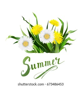 lettering summer Chamomile herb, dandelion, vector
