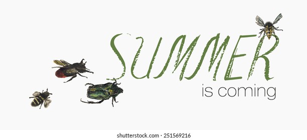 Lettering 'Summer is coming' with hand drawn watercolor insects
