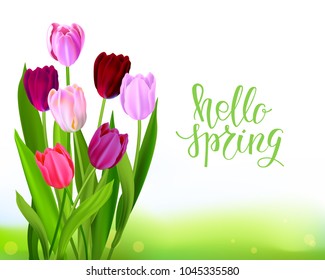 Lettering Tulip spring banner