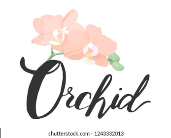 Lettering of the word orchid, inscription in black. Lettering with a branch of orchids on the word. Orchid flowers are pink with green buds. Botanical illustration. For flower shops.