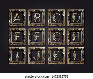 letters alphabet in square frame with leafs