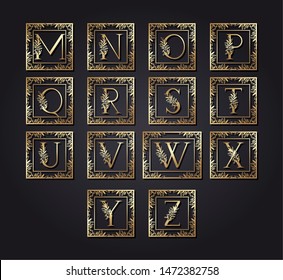 letters alphabet in square frame with leafs