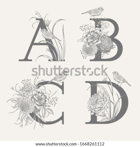 Letters A B C D, flowers peonies, decorative herbs and birds isolated set. Vector decoration. Black and white. Vintage illustration. Floral pattern for greetings, wedding invitations, text design.