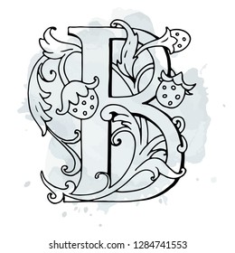 Letters B Drop Caps. Vector hand-drawing letter. Fabulous ornament with a bird. Black outline. Transparent background.