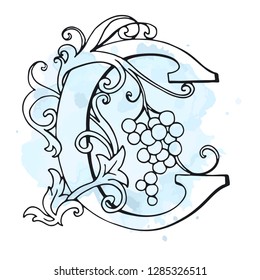 Letters C Drop Caps. Vector hand-drawing letter. Fabulous ornament with a bird. Black outline. Transparent background.