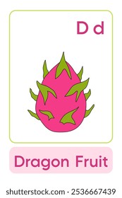 Letters D is for Dragon Fruit. Fruit Flashcard printable learn letters Alphabet english for kids education and game activity. Kindergarten and preschool worksheets printable for kids.