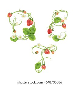 Letters D E F Strawberry font. Red Berry lettering alphabet. Vector realistic illustration ABC. Design for grocery, farmers market, tea, natural cosmetics, summer garden design element.