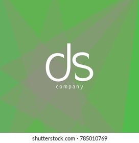 Letters D S Logo Icon with Business Card Template Vector.

