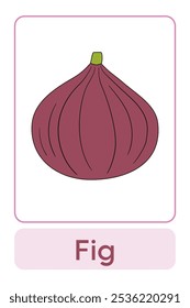 Letters F is for Fig. Fruit and Vegetable Flashcard printable learn letters Alphabet english for kids education and game activity. Kindergarten and preschool worksheets printable for kids.