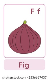 Letters F is for Fig. Fruit and Vegetable Flashcard printable learn letters Alphabet english for kids education and game activity. Kindergarten and preschool worksheets printable for kids.