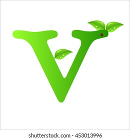 Letters of green leaves and water drops, original design font.