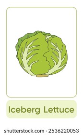 Letters I is for Iceberg Lettuce. Vegetable Flashcard printable learn letters Alphabet english for kids education and game activity. Kindergarten and preschool worksheets printable for kids.