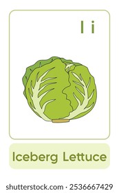 Letters I is for Iceberg Lettuce. Vegetable Flashcard printable learn letters Alphabet english for kids education and game activity. Kindergarten and preschool worksheets printable for kids.